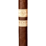 Rocky Patel Decade Robusto